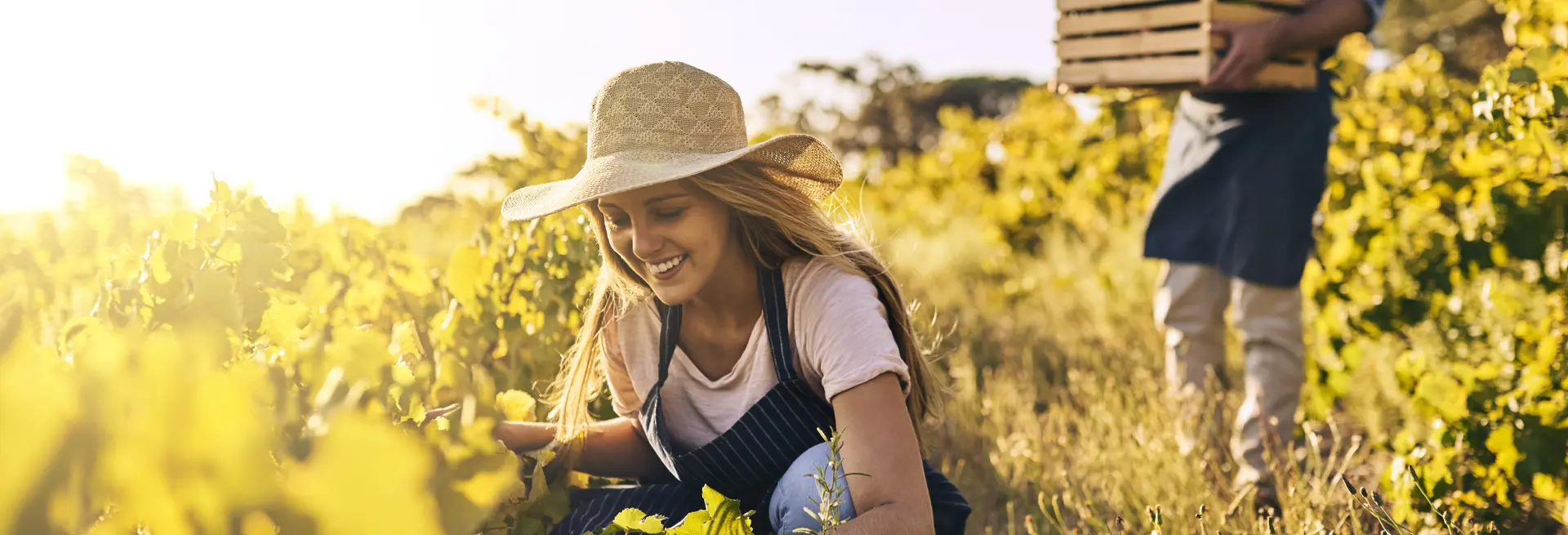 finanziamenti agricoltura
