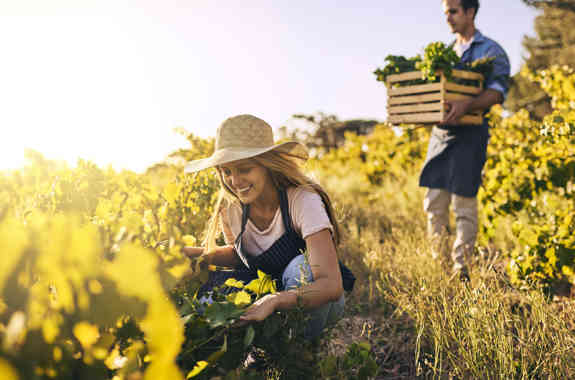finanziamenti agricoltura