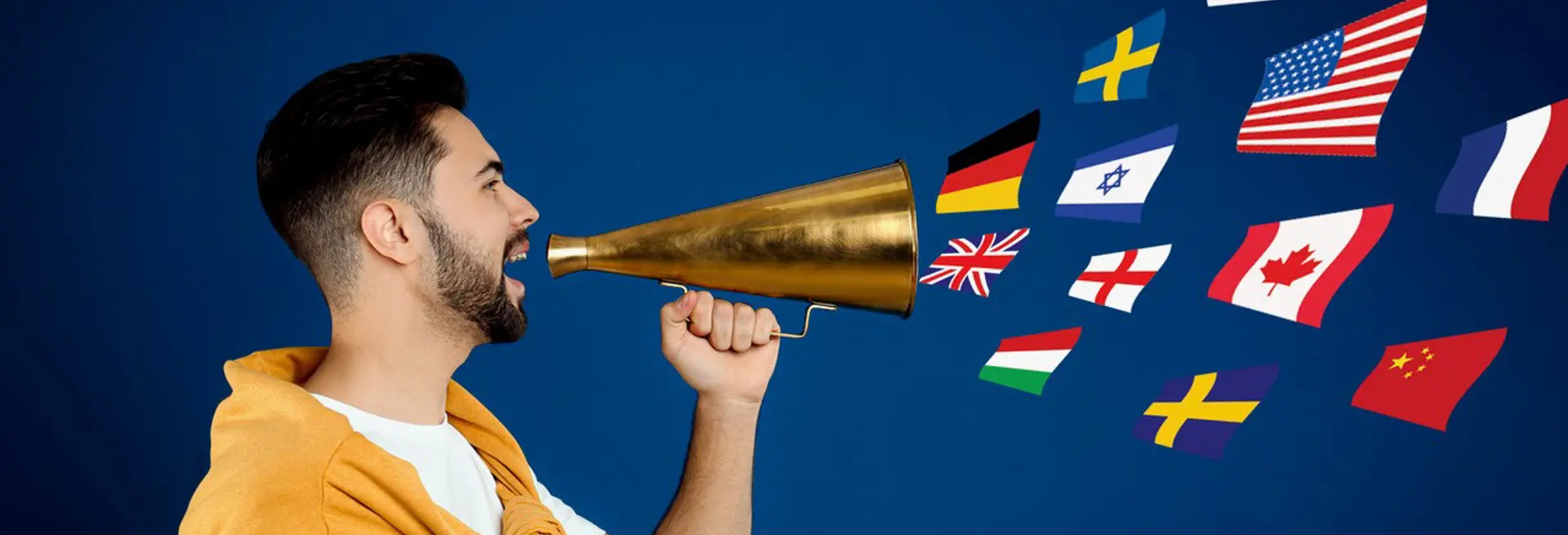Incentivi lingue straniere