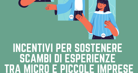 Incentivi per sostenere scambi di esperienze tra micro e piccole 
