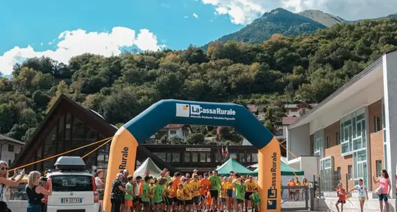 Bando Attività annuale 