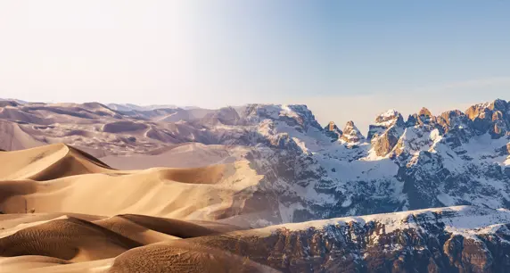 La diversificazione come strategia 